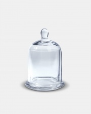 Small Glass Cloche & Base by The Vintage Garden Room